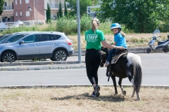 OpenWeekend ITOP - Ippoterapia (5)