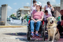 OpenWeekend ITOP - Pet Therapy (1a)