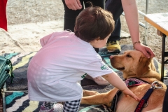 OpenWeekend ITOP - Pet Therapy (37)