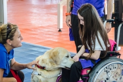 OpenWeekend ITOP - Pet Therapy (44)